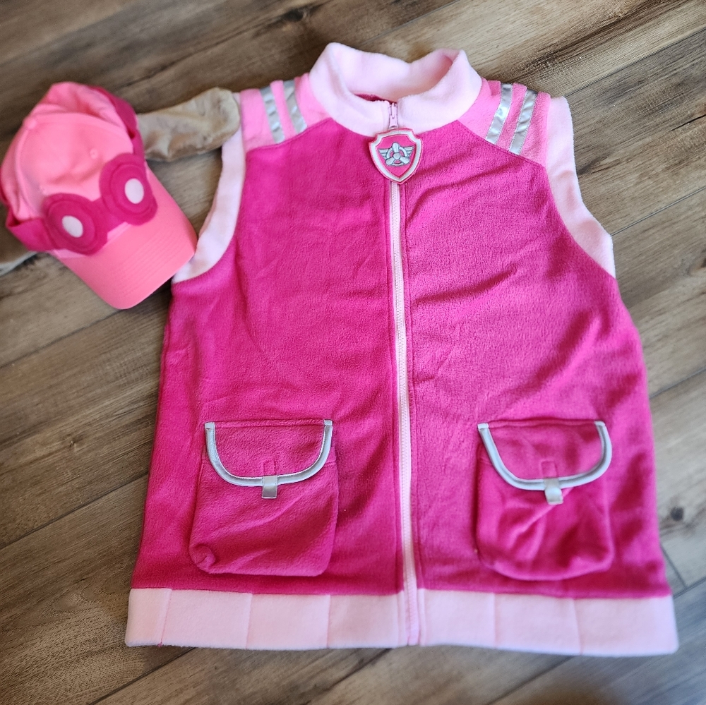 Skye Paw Patrol Adult Large Costume